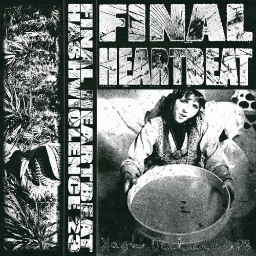 Final Heartbeat : Hashviolence '23
